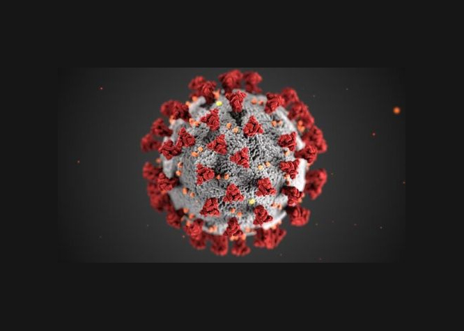 COVID 19 Virus particle