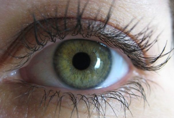 Eye